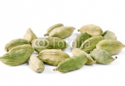 Cardamom_isolated_on_white.jpg