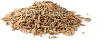 Cumin.jpg