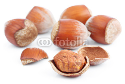 Hazelnuts_isolated_on_white.jpg