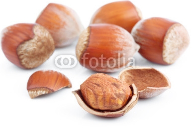 Hazelnuts_isolated_on_white.jpg