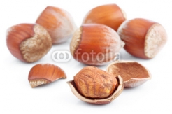 Hazelnuts_isolated_on_white.jpg