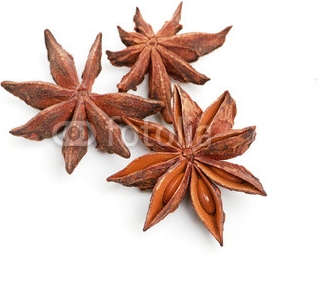 star_anise_isolated_on_a_white_background.jpg