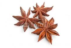 star_anise_isolated_on_a_white_background.jpg